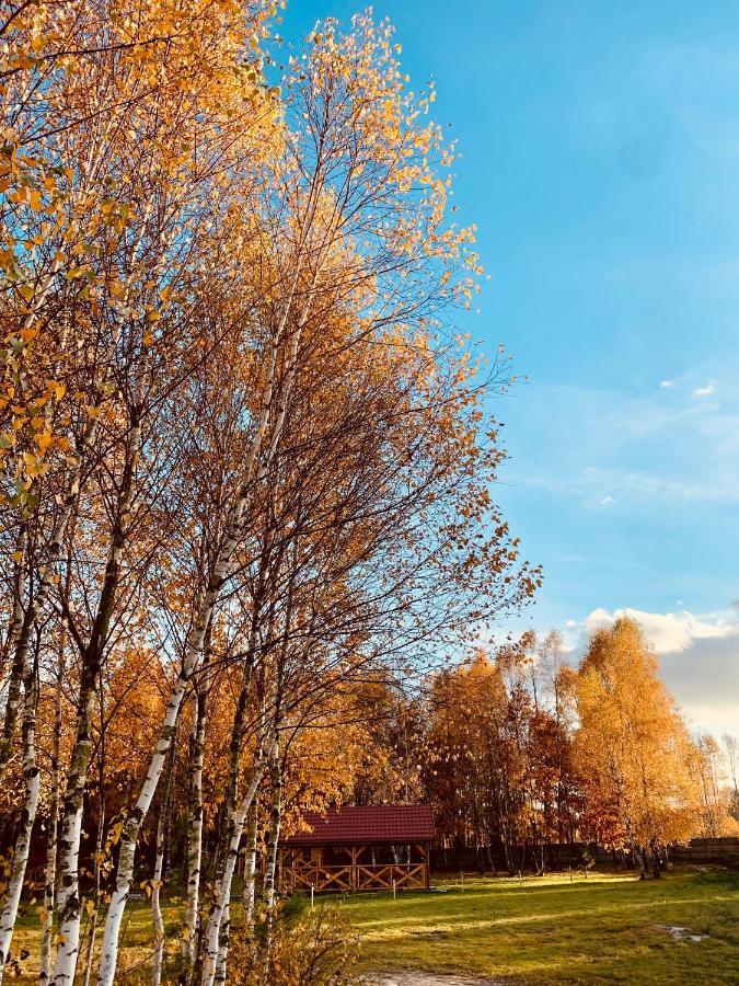 Rajskie Siedlisko Smykow Eksteriør bilde